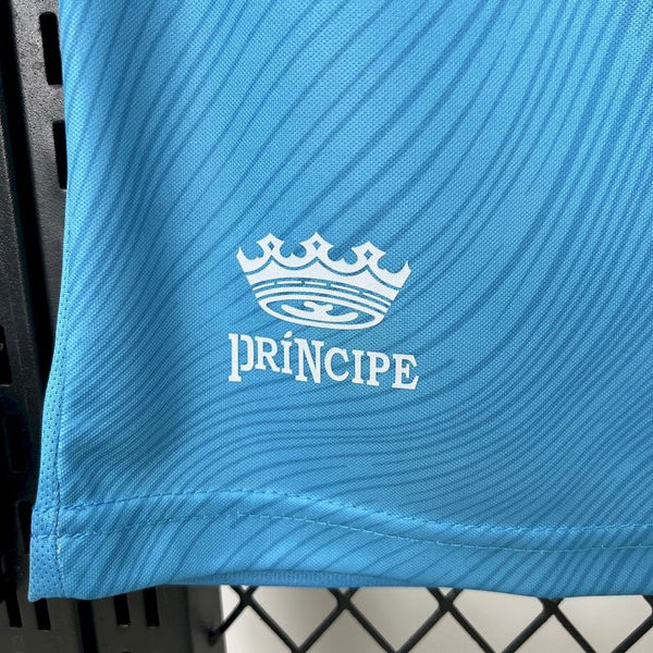 Santos Third Jersey 25/26