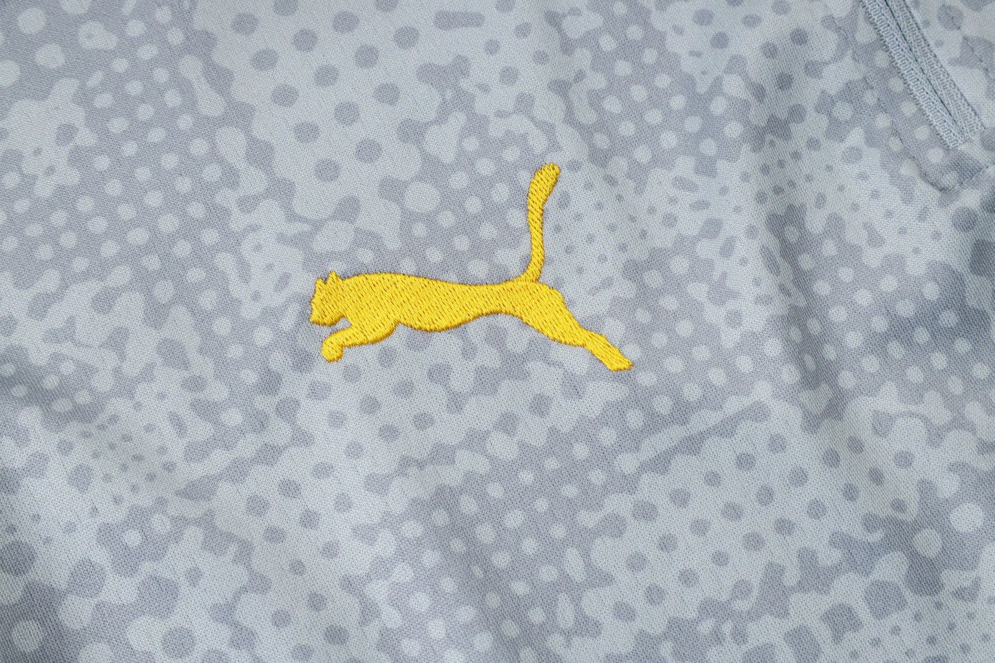 Borussia Dortmund Gray/Black Tracksuit Half-Zip 25/26