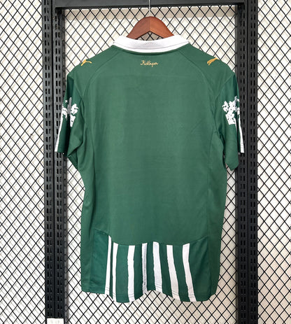 Palmeiras Special Edition Jersey 25/26