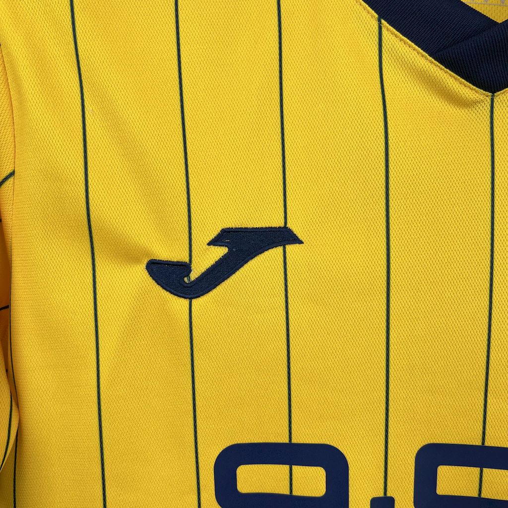 Hellas Verona Fourth Jersey 24/25
