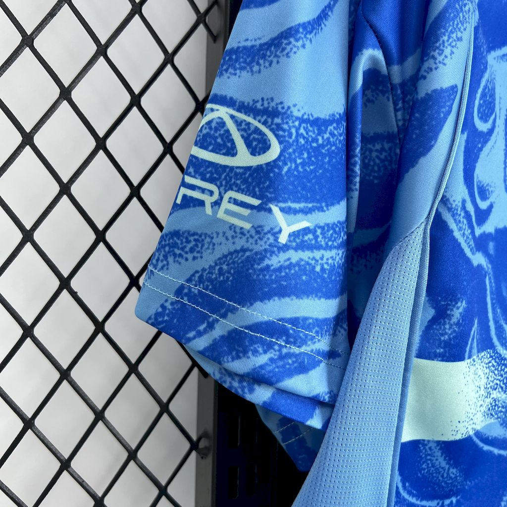 Tigres Away Jersey 25/26