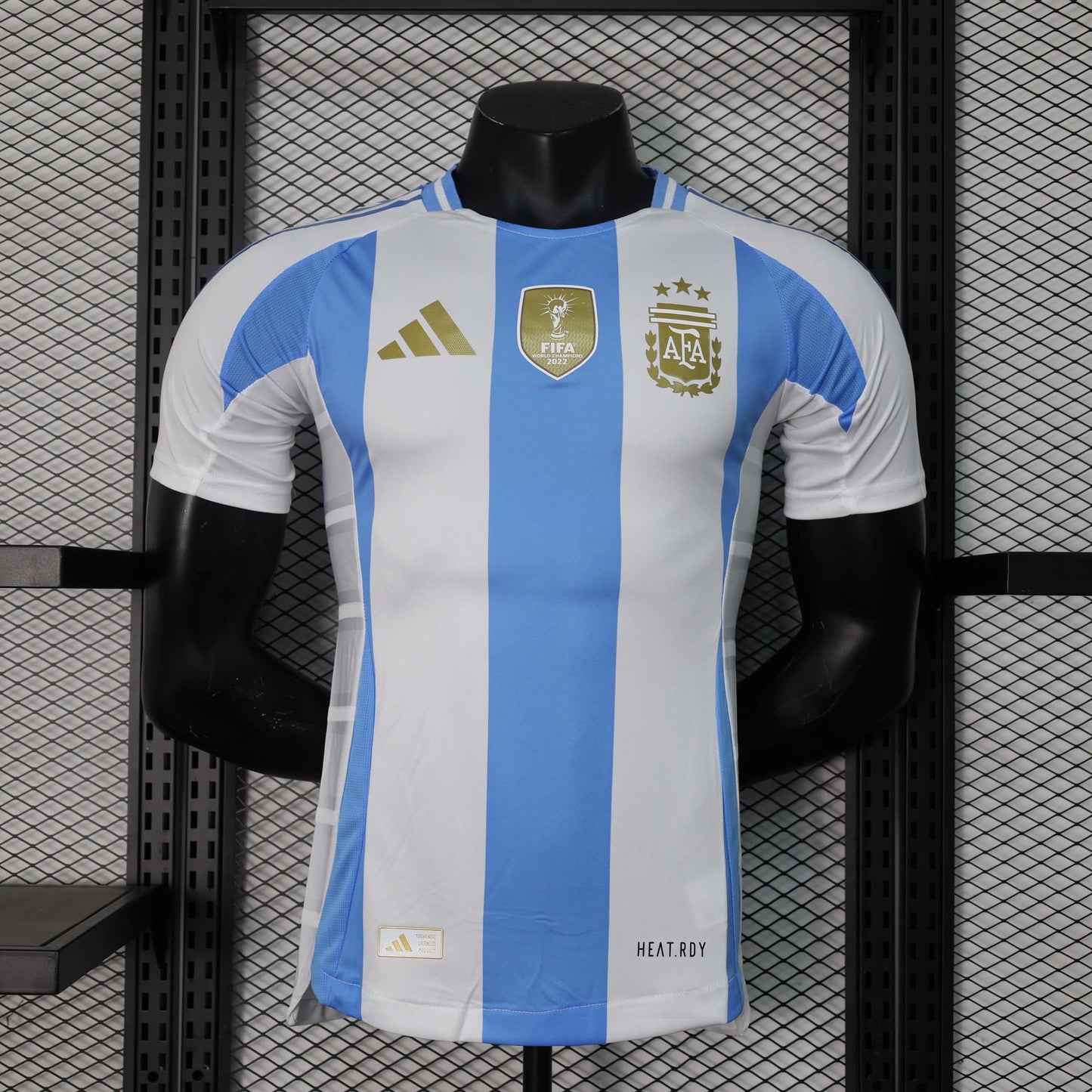 Argentina Home 2024 Jersey Player