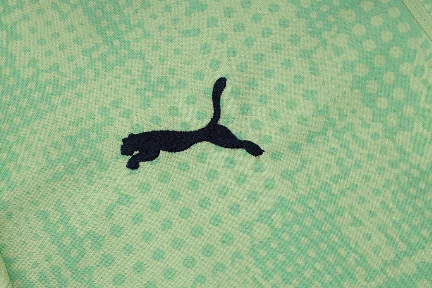 Manchester City Light Green Tracksuit Half-Zip 25/26