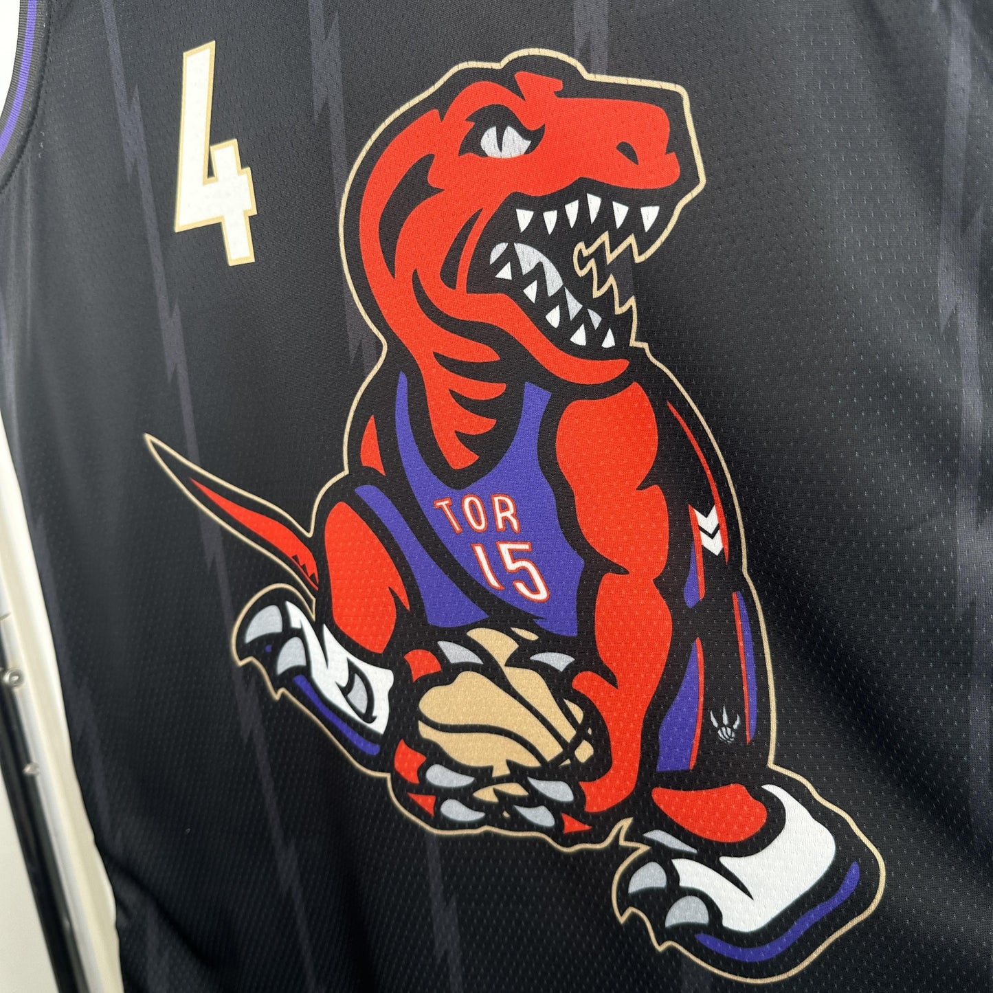 Toronto Raptors City Edition 24/25 NBA Jersey