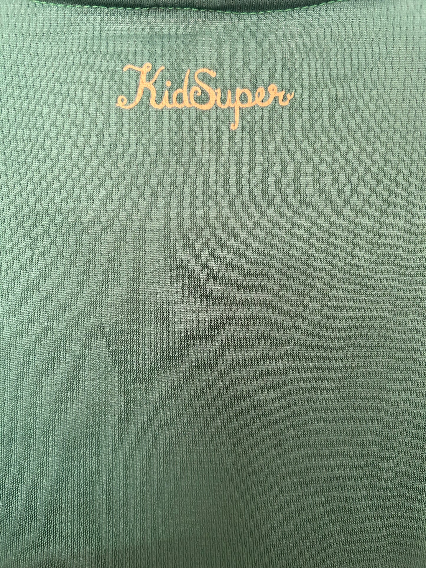 Palmeiras Special Edition Jersey 25/26