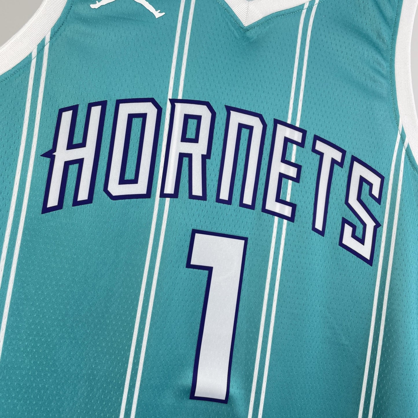 Charlotte Hornets Icon Edition NBA Jersey