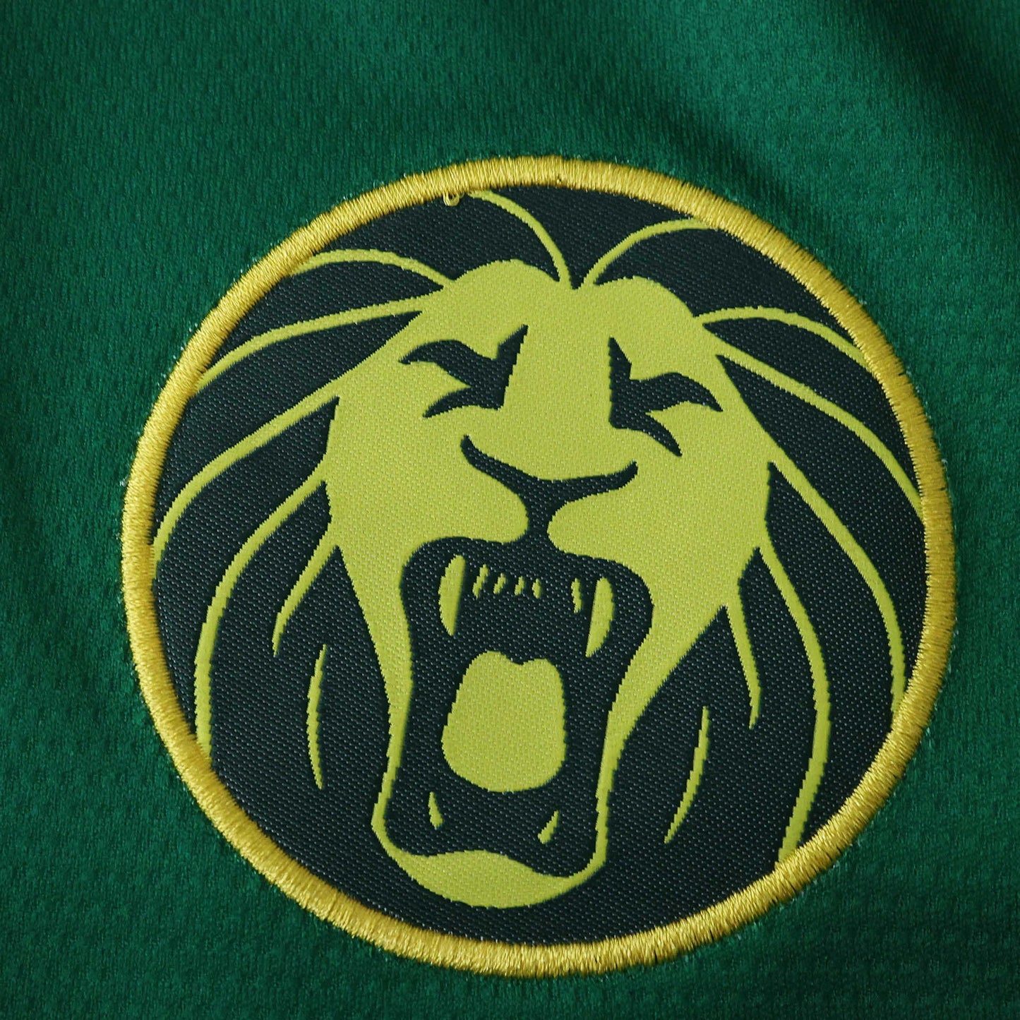 Cameroon Home Jersey 25/26