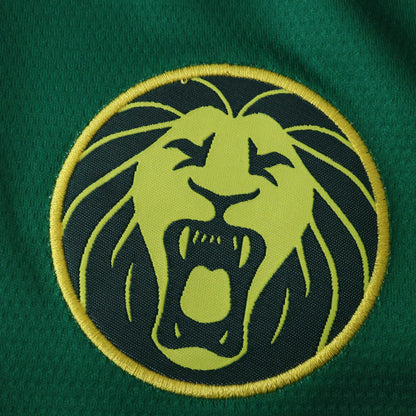 Cameroon Home Jersey 25/26