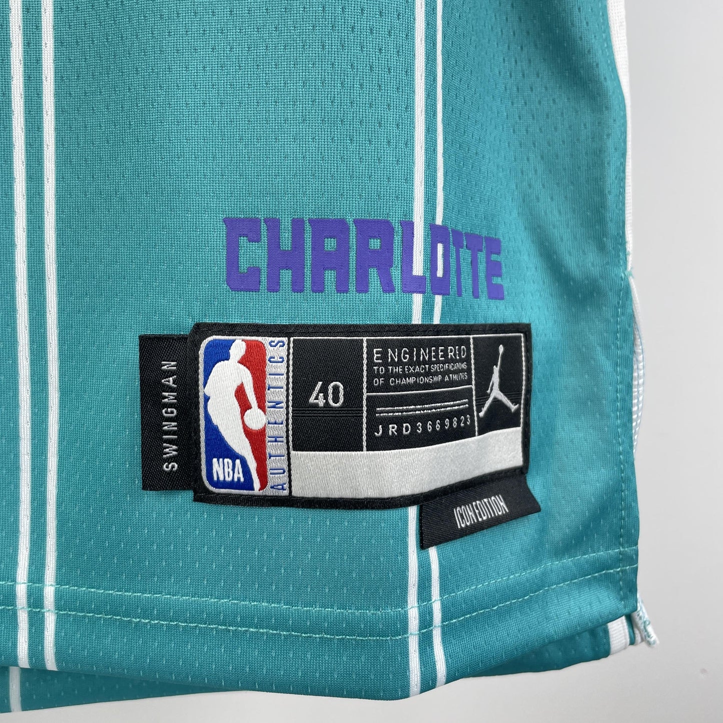Charlotte Hornets Icon Edition NBA Jersey
