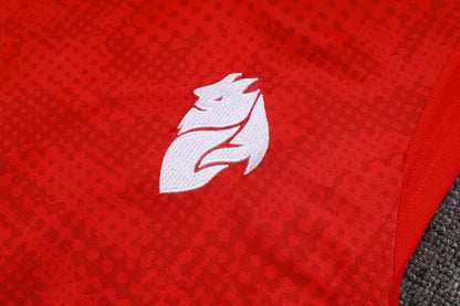 Completino Canottiera Milan 2025/26 Uomo Rosso | Kit Allenamento - CalcioVivo