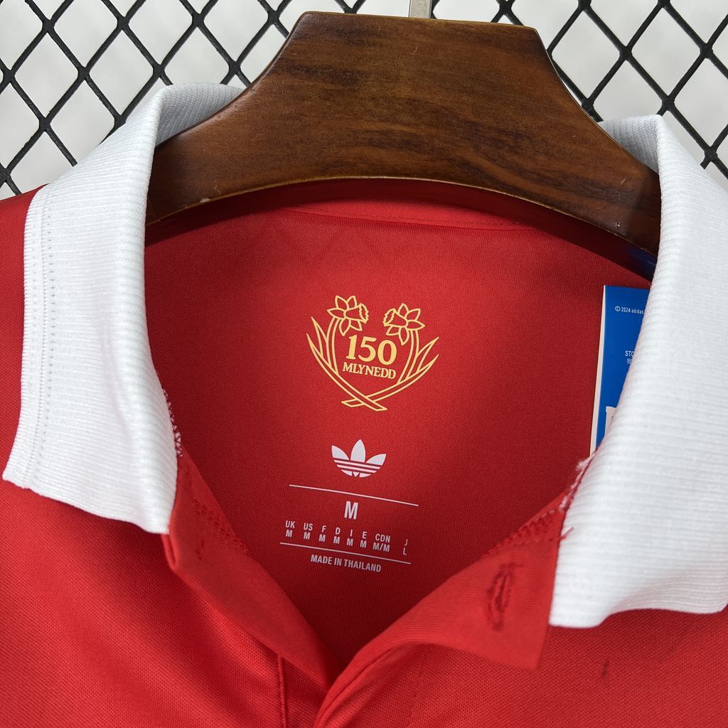 Maglia Galles Anniversary 150 Years 2026 Manica Lunga Uomo | Maglia da Calcio