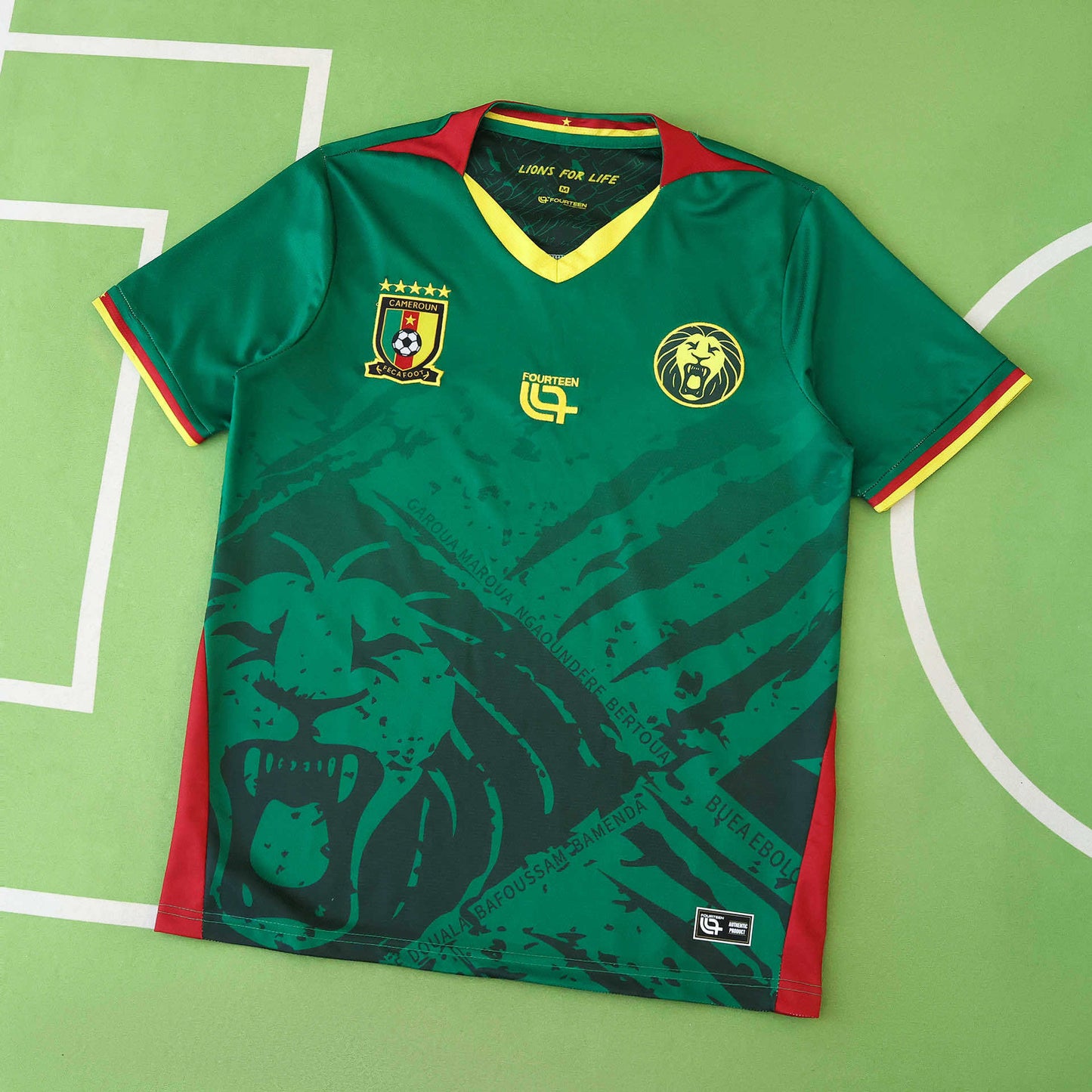 Cameroon Home Jersey 25/26