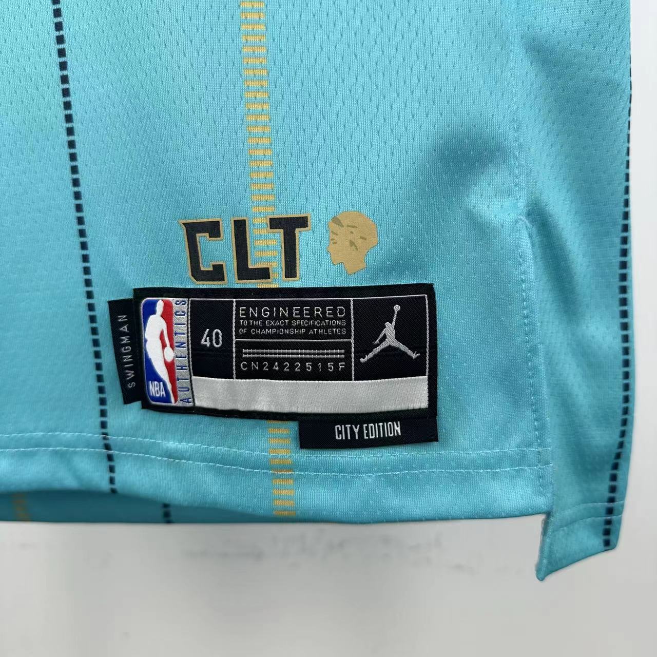 Charlotte Hornets City Edition 24/25 NBA Jersey