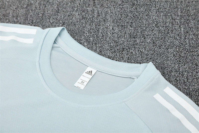 Kit Shirt + Shorts Japan Gray Training 25/26