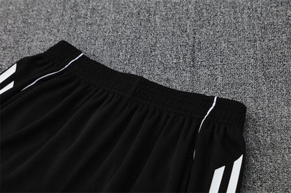 Kit Shirt + Shorts Japan Gray Training 25/26