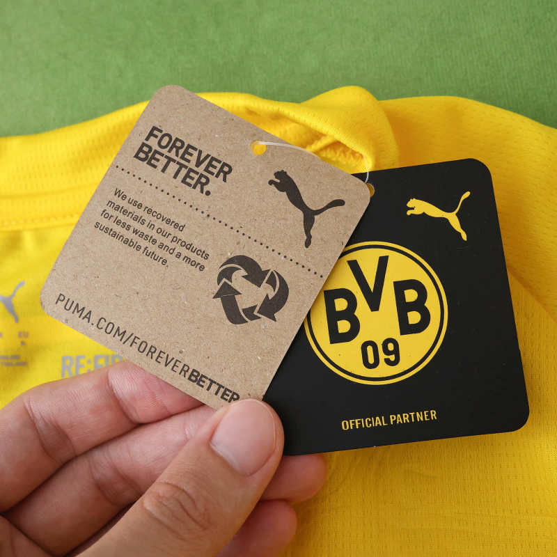 Borussia Dortmund Cup Jersey 25/26