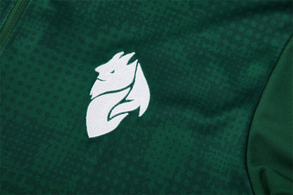 Tracksuit Milan Green/Black 25/26