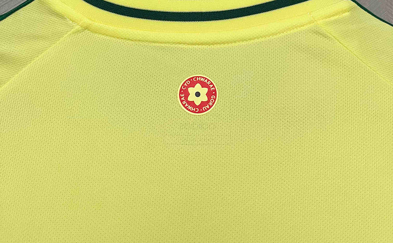 Wales Away Jersey 2024 - CalcioVivo