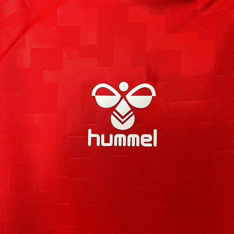 Denmark Home Jersey 2024 - CalcioVivo