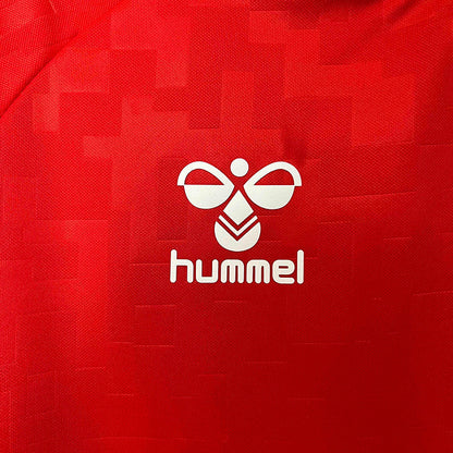 Denmark Home Jersey 2024 - CalcioVivo