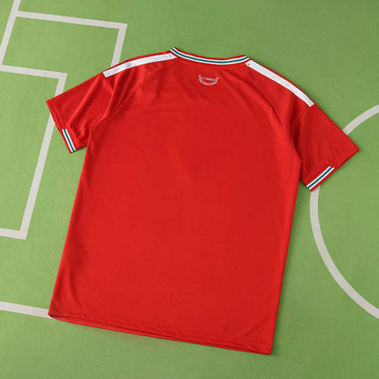 Wales Home Jersey 2026