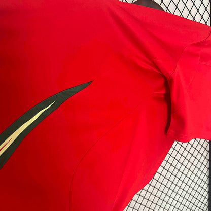 Wales Home Jersey 2024 - CalcioVivo