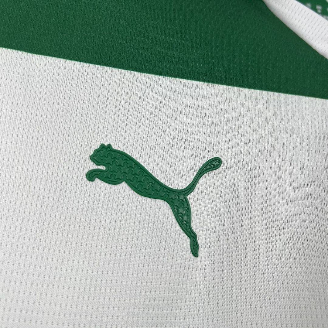 Palmeiras Special Edition Jersey 25/26 - CalcioVivo