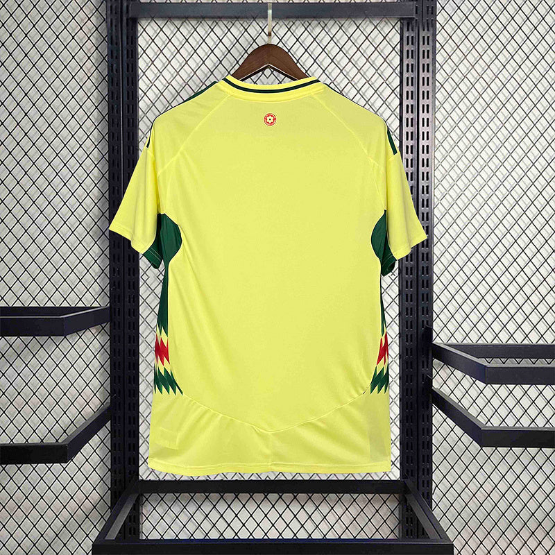 Wales Away Jersey 2024 - CalcioVivo