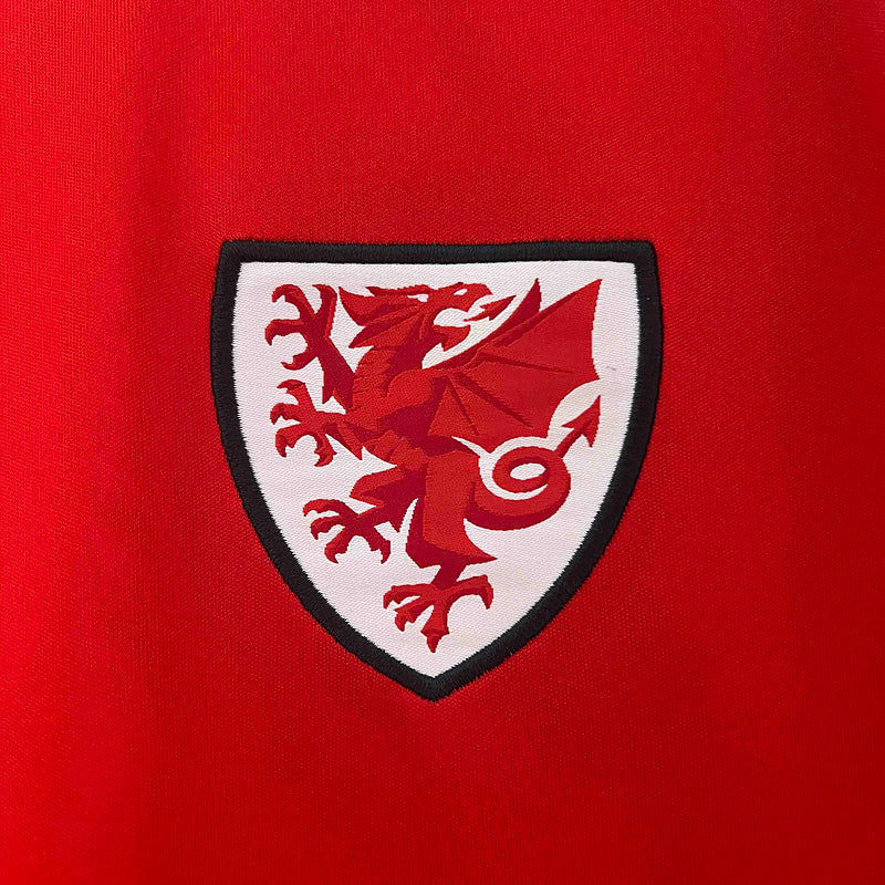 Wales Home Jersey 2024 - CalcioVivo