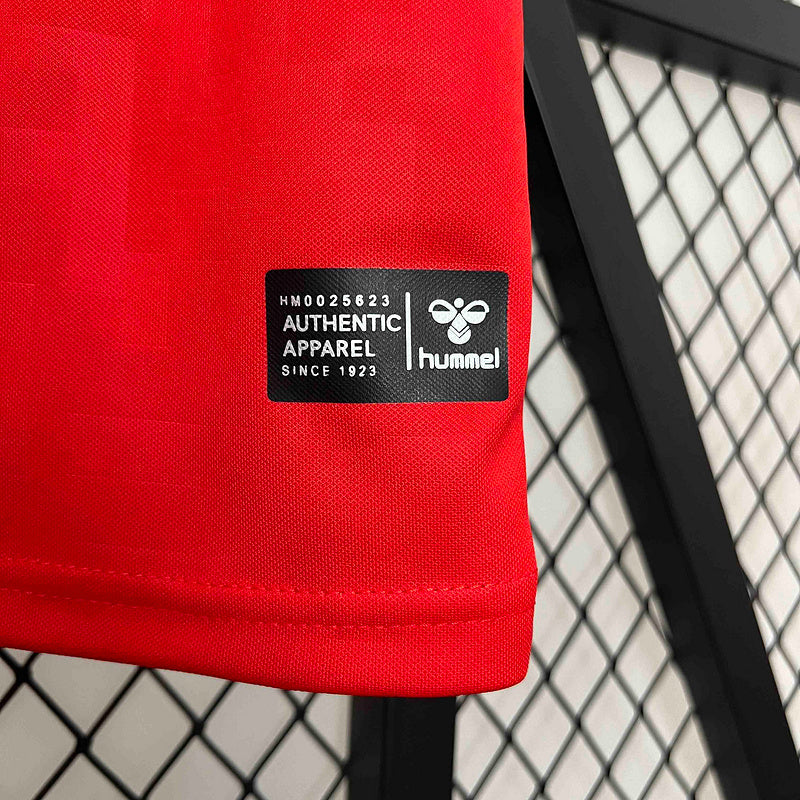 Denmark Home Jersey 2024 - CalcioVivo