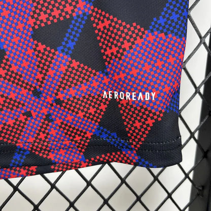 Lyon Pre-Match Jersey 25/26