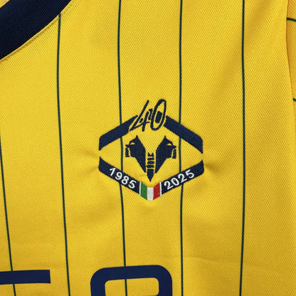 Hellas Verona Fourth Jersey 24/25