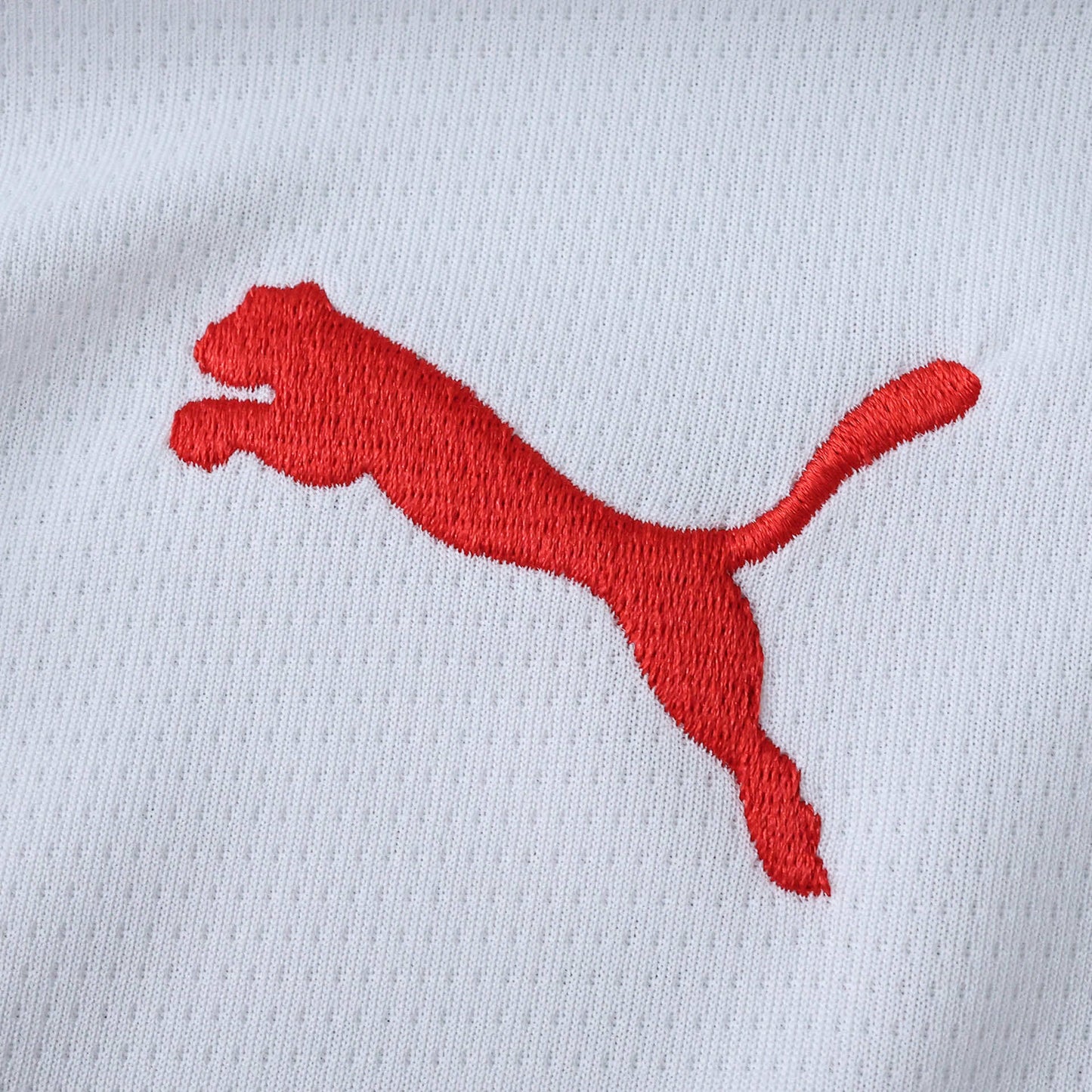 Portugal Concept Jersey 25/26