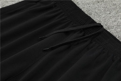 Tracksuit PSG Black/Purple Training 24/25