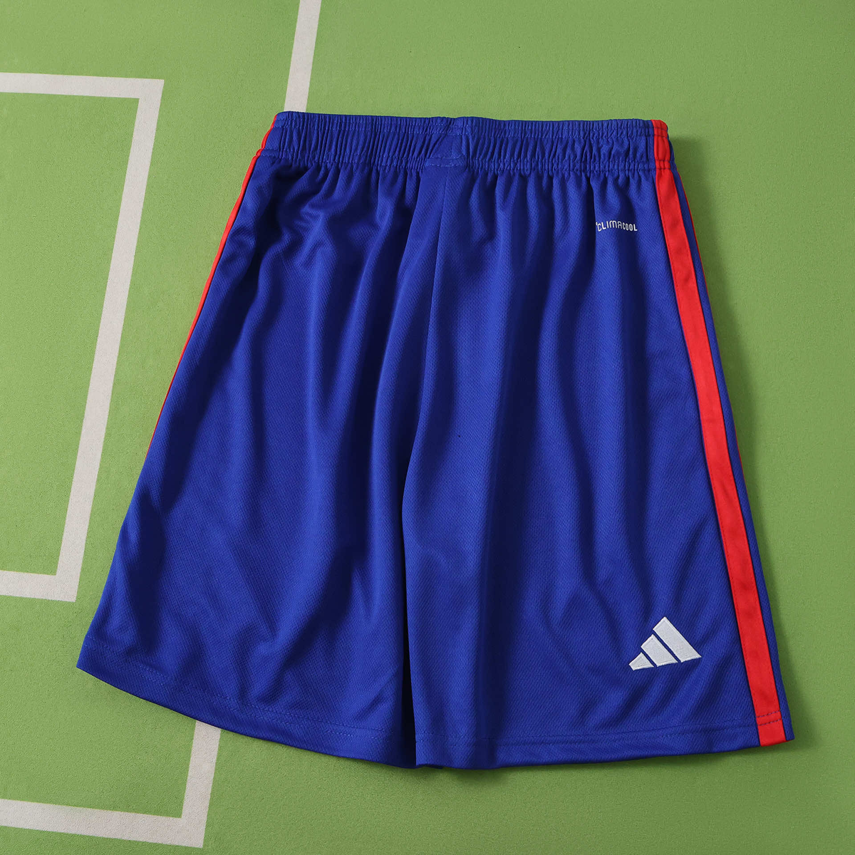 Pantaloncini Lyon Home 26/27 Uomo | Pantaloncini da Calcio - CalcioVivo