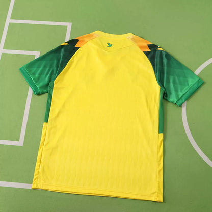 Maglia Nantes Home 26/27 Uomo Giallo | Maglia da Calcio