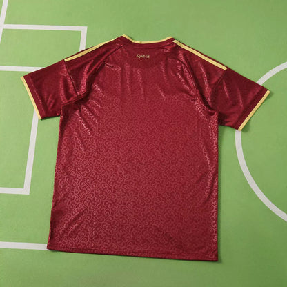 Maglia Spagna Special 2026 Uomo Rosso Bordeaux | Maglia da Calcio