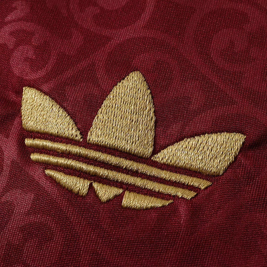 Maglia Spagna Special 2026 Uomo Rosso Bordeaux | Maglia da Calcio